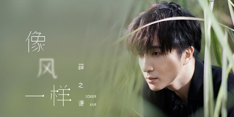 為什么薛之謙歌曲的mv質(zhì)量那么高